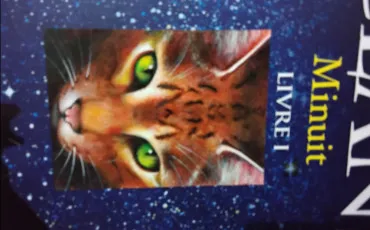 Quiz Littérature, poésie