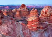 Quiz Les homohones se jouent de nous N�47