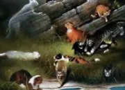 Test LGDC - Seras-tu au Clan des �toiles ou dans la For�t Sombre ?