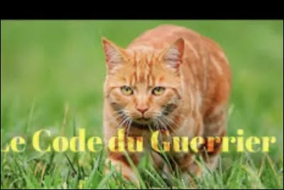 Respecterais-tu cette r&egrave;gle du code du guerrier : &laquo;&nbsp;un guerrier honorable n�a pas besoin de tuer pour remporter la bataille sauf si cet individu ne respecte pas lui-m&ecirc;me le code du guerrier ou si c�est une question de vie ou de mort&nbsp;&raquo; ?