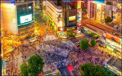 Le carrefour de Shibuya c'est 2,4 millions de personnes qui traversent chaque jour, soit 2 500 pi&eacute;tons &agrave; chaque feu vert. Enfin... 2,4 millions plus moi aujourd'hui. O&ugrave; suis-je ?