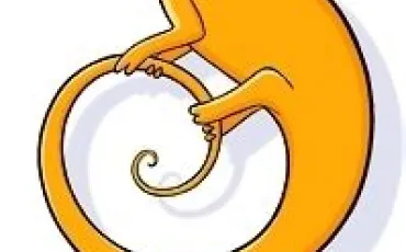 Quiz Site internet