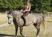 Quiz Quiz sur les robes des chevaux ! ! !