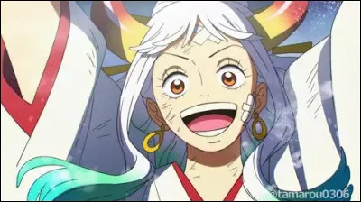 Y - Yamato, quels Haki peut-elle utiliser ?
