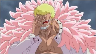 D - Doflamingo, quel est son nom de code ?