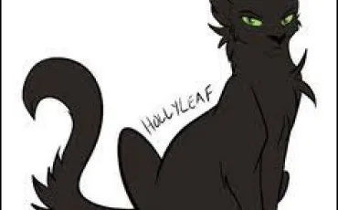 Quiz Litt�rature, po�sie