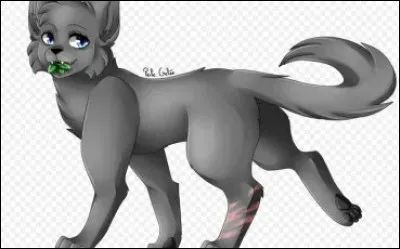 Apprentie guerri&egrave;re forc&eacute;e de devenir gu&eacute;risseuse apr&egrave;s qu'une voiture lui a &eacute;cras&eacute; la patte...