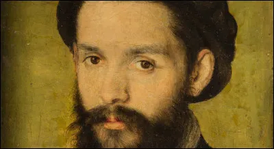 Quel auteur du XVIe si&egrave;cle a publi&eacute; le recueil de "L'Adolescence Cl&eacute;mentine" ?