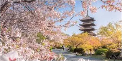 Kyoto est la capitale�