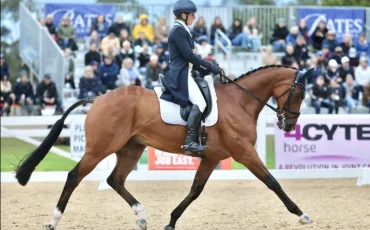 Quiz Galop 3