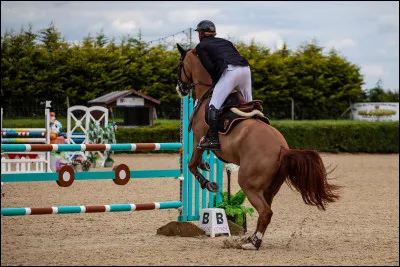 Qu'est le m&eacute;canisme du saut ?