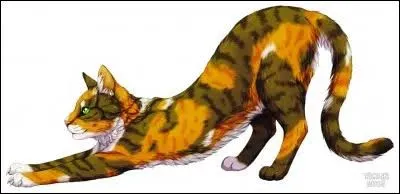 Qui sont ses mentors ?