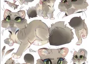 Quiz Quiz sur Brin de Soleil