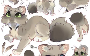 Quiz La guerre des clans