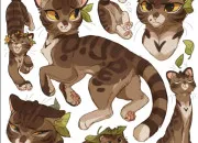 Quiz Quiz sur Pelage de Miel