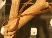 Quiz Vieux fran�ais (130)