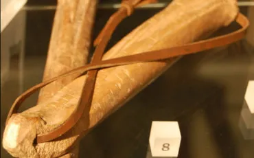 Quiz Culture g�n�rale