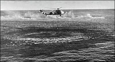 Lequel de ces mots est le nom vulgaire du canard milouin ?