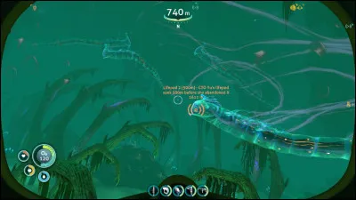 Combien d'�ufs de "Cuddlefish" peut-on trouver au maximum dans une seule partie ?