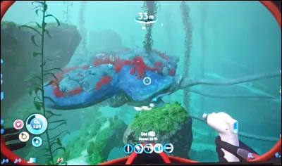 Quel Leviathan se nourrit principalement de micro-organismes et de plancton en filtrant l'eau ?