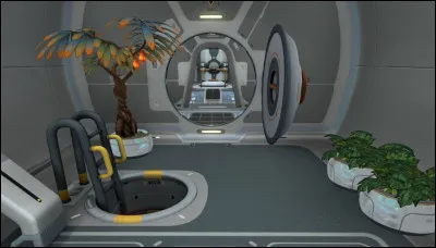 Quelle plante fournit le plus de nourriture et d'eau une fois plant&eacute;e dans un int&eacute;rieur ?