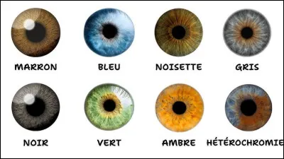 D&eacute;j&agrave;, quelle est la couleur de tes yeux ?