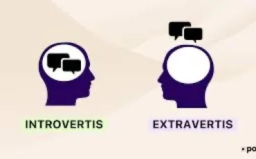 Quiz Test de personnalit�