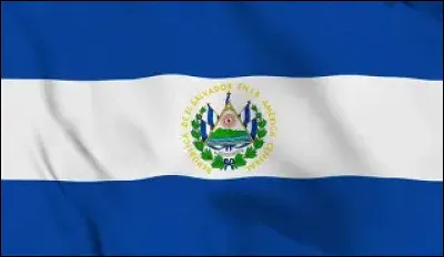 &Agrave; quel pays ce drapeau appartient-il ?