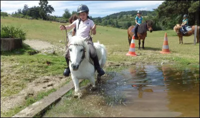 Pour faire franchir un passage d&eacute;licat &agrave; mon cheval :