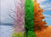 Test Quel est ton animal totem ?