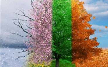 Quiz Test de personnalit�