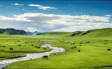 Quiz Culture g�n�rale