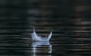 Quiz Test de personnalit�