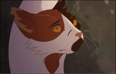 Quel est le clan d'Ombre d'&Eacute;rable ?