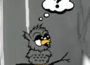 Quiz Questions en vrac (266)