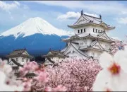 Quiz Japon : vrai ou faux ?