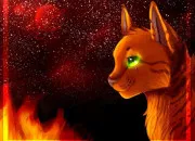 Quiz �toile de Feu