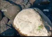 Test Survivras- tu à une sortie rivière avec tes amis ?