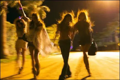 La nuit avec tes amis ressemblerait &agrave; :