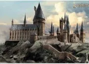 Quiz Hermione, Ginny ou Luna ?