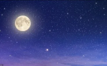 Quiz Test de personnalit�