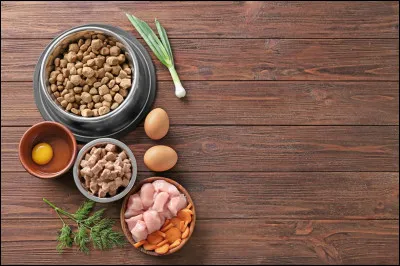 Que pr&eacute;f&egrave;res-tu manger ?