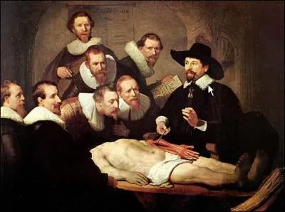 Leon d'anatomie ... . mais il manque ... .