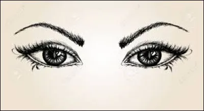 &Agrave; quel chanteur doit-on "L'encre de tes yeux" en 1980 ?