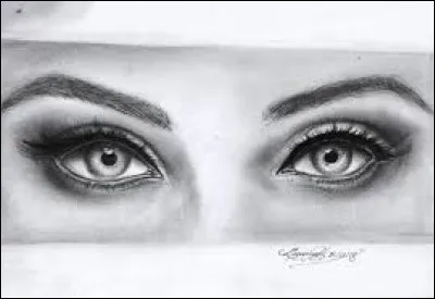 Compl&eacute;tez le titre de cette chanson de Joe Dassin : "Dans les yeux ..." :