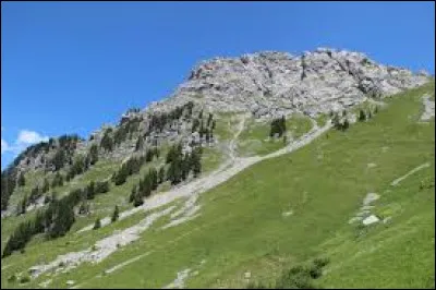Quelle est l'altitude du rocher Plat, un sommet des Pr&eacute;alpes vaudoises ?