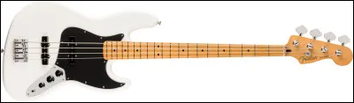 Quel est cet instrument de musique ?