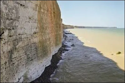 De quel type de roche sont principalement compos&eacute;es les falaises ?