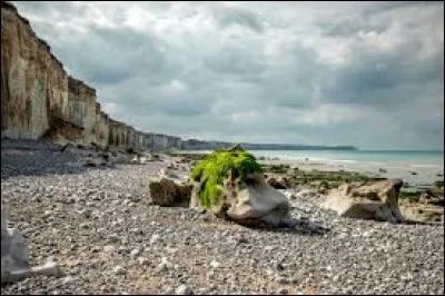 La c&ocirc;te d'Alb&acirc;tre a-t-elle plus ou moins de 150 km de littoral ?