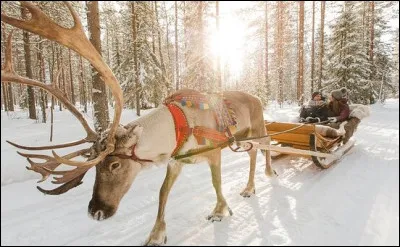 Ville de Laponie - Le Village du P&egrave;re No&euml;l - Le record de froid atteignit - 38.1 &deg;